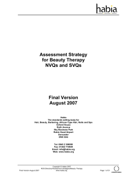 Beauty Therapy Assessment Strategy August 2007