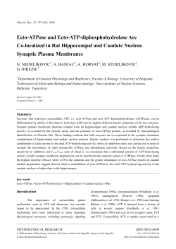 Ecto-ATPase and Ecto-ATP-diphosphohydrolase