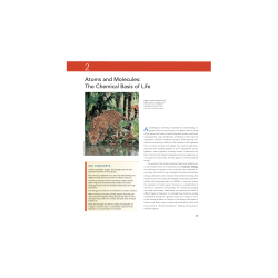 Biology, 8th Edition