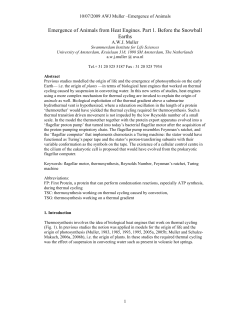 Emergence of Animals from Heat Engines. Part 1