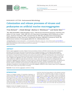 Colonization and release processes of viruses and prokaryotes on