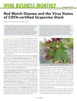 WBM - Wine Industry Network