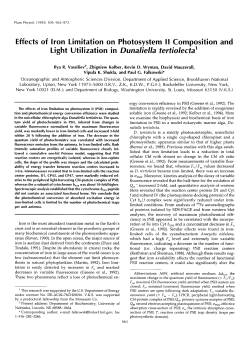 Effects of lron Limitation on Photosystem II Composition and Light