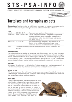 Schildkr&ouml;ten / Tortues / Testuggine