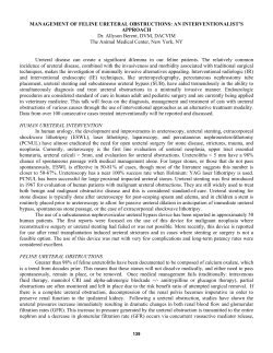 management of feline ureteral obstructions