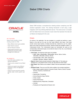 Siebel CRM Charts