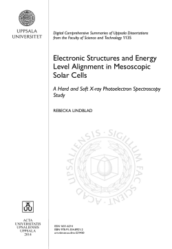 Electronic Structures and Energy Level Alignment in Mesoscopic