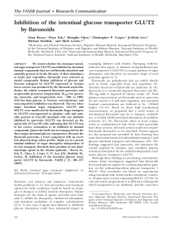 Inhibition of the intestinal glucose transporter GLUT2 by flavonoids
