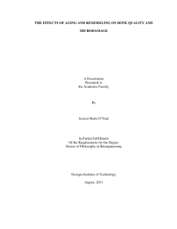 THE EFFECTS OF AGING AND REMODELING ON BONE QUALITY