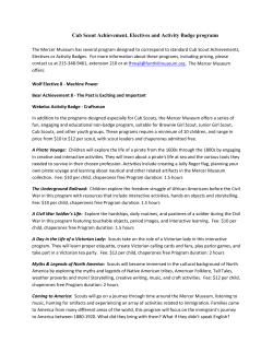 Cub Scout Achievement, Electives and Activity