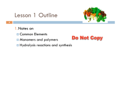 L1 Bio Molecules Synthesis