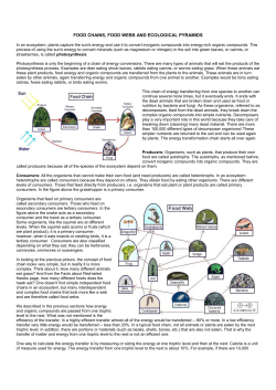 food chains, food webs and ecological pyramids