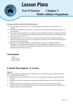 Lesson Plans - Dr Terry Dwyer National Curriculum mathematics