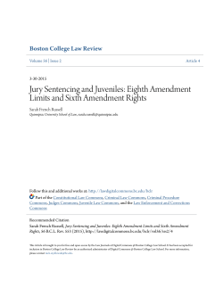 Eighth Amendment Limits and Sixth Amendment Rights