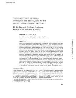 THE CONSISTENCY OF AMEBA CYTOPLASM AND ITS BEARING