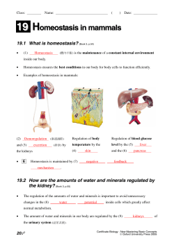19 Homeostasis in mammals 19.1 What is homeostasis?