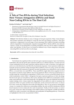 A Tale of Two RNAs during Viral Infection: How Viruses Antagonize