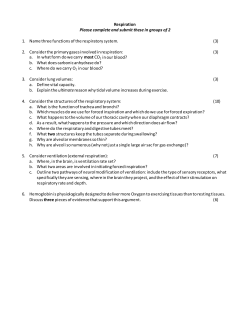 How do volume changes cause pressure changes in the lungs, and