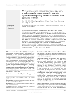 Novosphingobium pentaromativorans sp. nov., a high