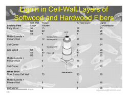 Lignin in Cell-Wall Layers of Softwood and Hardwood Fibers