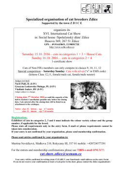 Specialized organisation of cat breeders Zdice cat.show.zdice