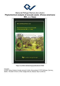 Phytochemical analysis of avocado seeds