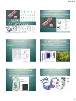 Genetics 3.2- Chromosomes