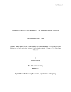 Berlekamp 1 Paleobotanical Analysis of Arai