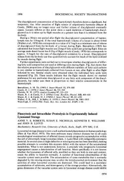 Pinocytosis and Intracellular Proteolysis in Experimentally Induced