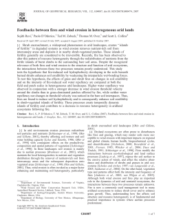 Feedbacks between fires and wind erosion in