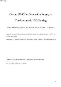 Copper (II) Oxide Nanowires for p