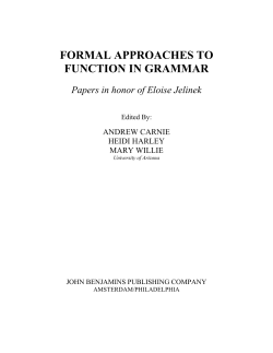 formal approaches to function in grammar