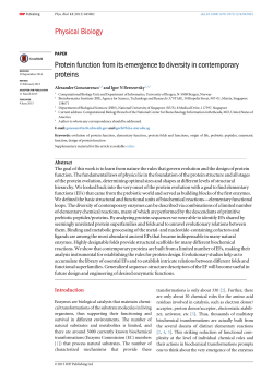 Protein function from its emergence to diversity in contemporary