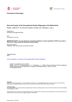 Size and Causes of the Occupational Gender Wage-gap in
