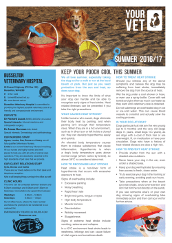 01. 2016 Summer Newsletter