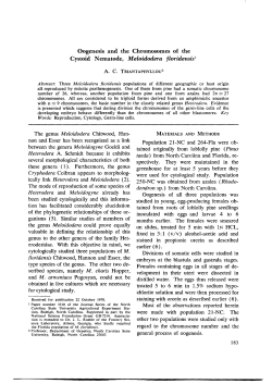 Oogenesis and the Chromosomes of the Cystoid Nematode