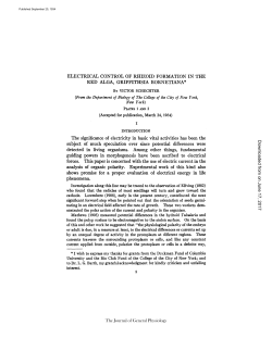 ELECTRICAL CONTROL OF RHIZOID FORMATION IN THE RED