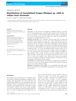 Reutilization of immobilized fungus Rhizopus sp. LG04 to reduce
