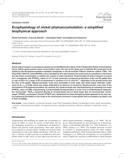 Ecophysiology of nickel phytoaccumulation: a simplified biophysical