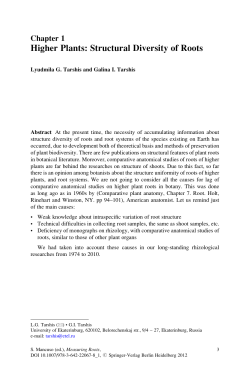 Higher Plants: Structural Diversity of Roots