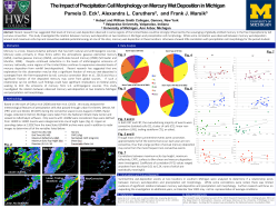 The Impact of Precipitation Cell Morphology on Mercury Wet