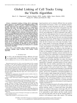 Global Linking of Cell Tracks Using the Viterbi Algorithm