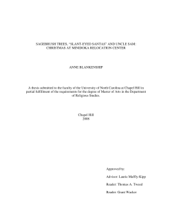 SAGEBRUSH TREES, “SLANT-EYED SANTAS” AND UNCLE SAM