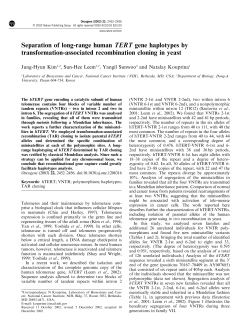 Separation of long-range human TERT gene haplotypes by