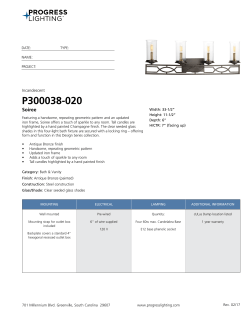 P300038-020