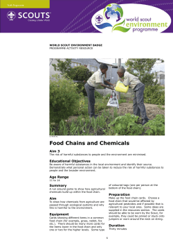 Food Chains and Chemicals