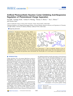 Artificial Photosynthetic Reaction Center Exhibiting Acid