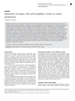 Interaction of tumor cells and lymphatic vessels in cancer