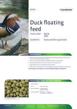 Duck floating feed