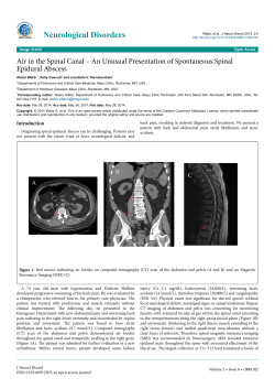 Peer-reviewed Article PDF - e